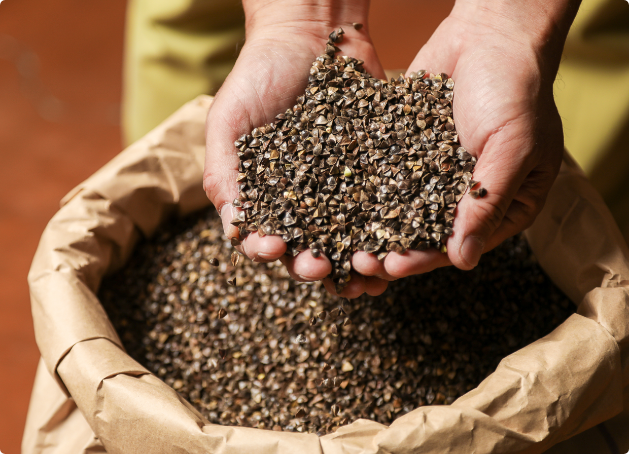 そばの実の写真