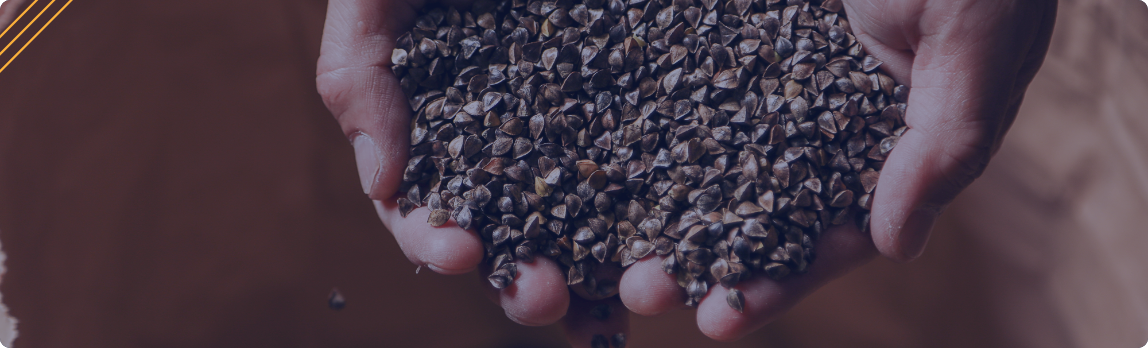 そばの実の写真